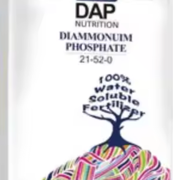 Technical Grade 21-53-00 DAP Greenhouse Fertilizer Antiblocking Hydroponics Full Fertilizer Highly Water Soluble