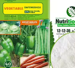 Best Price High Quality Water Soluble Fertilizer NPK 20-20-20+TE