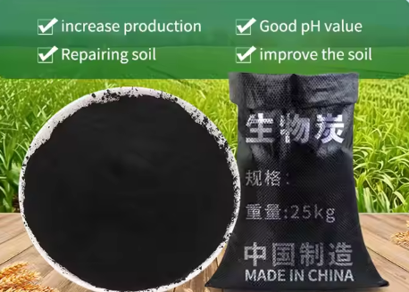 Factory Offers High Quality Rice Husk Carbonized Biochar Fertilizer Price Per Ton for Petroleum Additives