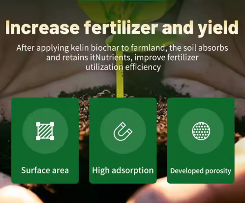 Factory Offers High Quality Rice Husk Carbonized Biochar Fertilizer Price Per Ton for Petroleum Additives