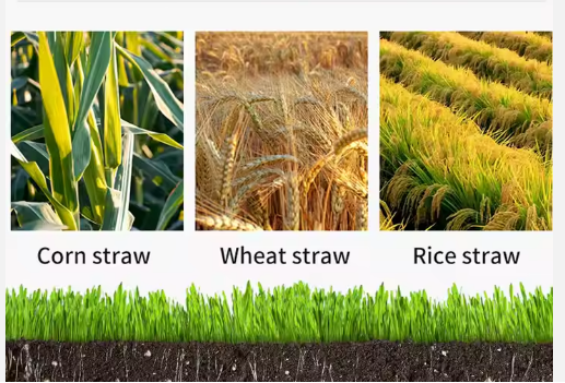 Factory Offers High Quality Rice Husk Carbonized Biochar Fertilizer Price Per Ton for Petroleum Additives